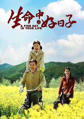 [2016][生命中的好日子][全40集打包][国语中字][WEB-MP4][1080P][HQC].torrent