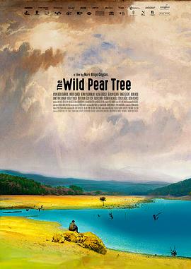 野梨树.The.Wild.Pear.Tree.2018.BD1080P.AAC.x264.Turkic.CHS-ENG.BTDX8.torrent