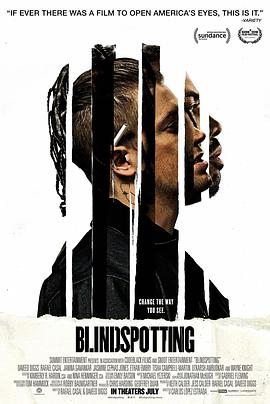 盲点.Blindspotting.2018.BD1080P.AAC.x264.English.CHS.BTDX8.torrent