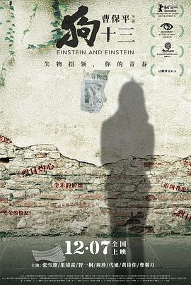 狗十三.Einstein.&.Einstein.2013.HD1080P.X264.AAC.Mandarin.CHS-ENG.Mp4Ba.torrent