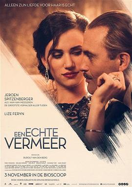 真爱的伪术.A.Real.Vermeer.2016.HD1080P.AAC.x264.Dutch.CHS.BTDX8.torrent