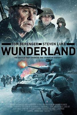 仙境.Wunderland.2018.1080p.WEBRip.x264.CHS.ENG-Lieqiwang.torrent