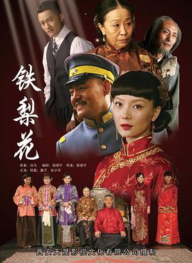 [2010][铁梨花][全43集打包][国语中字][MP4][1080P][HQC].torrent