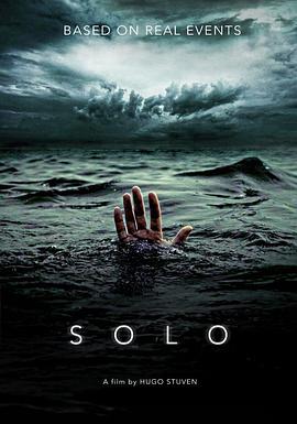 碧海逃生-与浪搏斗.Solo.2018.1080p.WEBRip.X264.CHS.ENG-BTBT4K 2.23GB.torrent