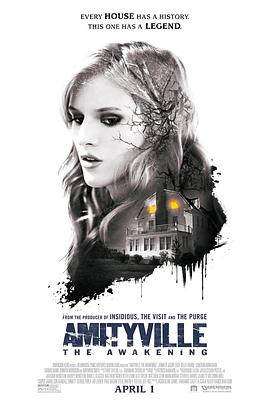 鬼哭神嚎：觉醒.Amityville.The.Awakening.2017.BD1080P.英语中字.BTDX8.torrent