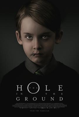 地面之洞.The.Hole.in.the.Ground.2019.1080p.WEB-DL.H264.CHS-Lieqiwang.torrent