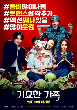 [2019][奇妙的家族][HD-MKV_1.66G][韩语中字][1080P][TSKS].torrent