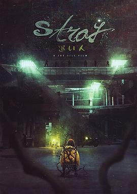 迷途之人.Stray.2019.HD720P.X264.AAC.English.CHS-ENG.Mp4Ba.torrent