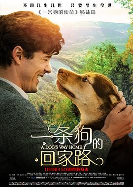 一条狗的回家路[中英字幕].2019.1080p.BluRay.Remux.AVC.DTS-HD.MA.5.1-SONYHD.torrent