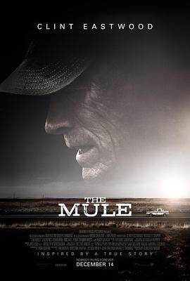 骡子.The.Mule.2018.BD1080P.英语特效中英双字.BTDX8.torrent