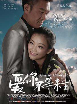 爱你不等来生.Cherish.in.Love.2014.HD720P.X264.AAC.Mandarin.CHS-ENG.Mp4Ba.torrent