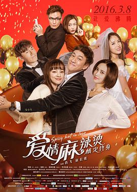 爱情麻辣烫之情定终身.Spicy.hot.in.love.2016.HD720P.X264.AAC.Mandarin.CHS.Mp4Ba.torrent