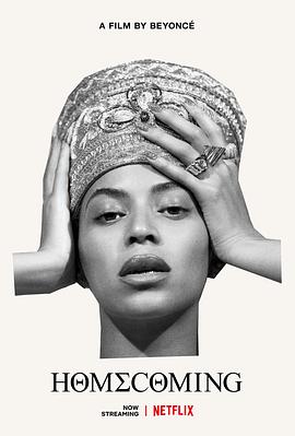 归家：碧昂丝作品.[官方中字].HOMECOMING.A.film.by.Beyonce.2019.720p.NF.WEBRip.DDP5.1.x264-NTG.torrent