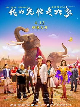 2019喜剧《我的宠物是大象》1080p.HD国语中字.torrent