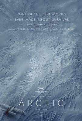 北极[简繁英字幕].2018.1080p.BluRay.Remux.AVC.DTS-HD.MA.5.1-SONYHD.torrent