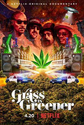 印度妙草.Grass.is.Greener.2019.HD720P.X264.AAC.English.CHS-ENG.Mp4Ba.torrent