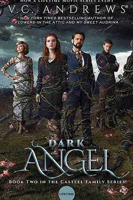 暗黑天使.Dark.Angel.2019.HD1080P.X264.AAC.English.CHS-ENG.Mp4Ba.torrent