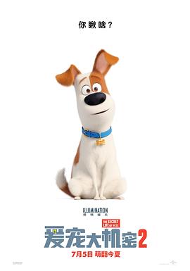 爱宠大机密2.The.Secret.Life.of.Pets.2.2019.BD1080P.X264.AAC.English&Mandarin&Cantonese.CHS-ENG.Mp4Ba.torrent