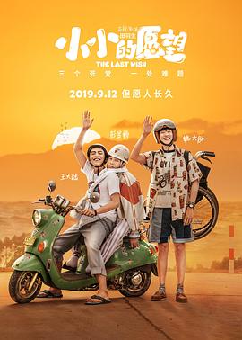 小小的愿望.高码版.The.Last.Wish.2019.HD1080P.X264.AAC.Mandarin.CHS-ENG.Mp4Ba.torrent