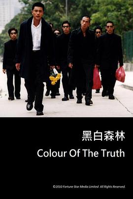 黑白森林.Colour.of.the.Truth.2003.BD1080P.X264.AAC.Cantonese&Mandarin.CHS.Mp4Ba.torrent