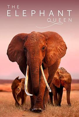 大象女王.The.Elephant.Queen.2019.HD720P.英语中英双字.BTDX8.torrent