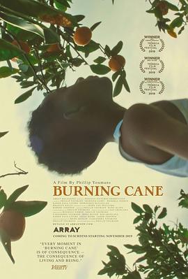 燃烧的甘蔗.Burning.Cane.2019.HD1080P.X264.AAC.English.CHS-ENG.Mp4Ba.torrent