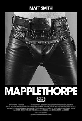 梅普尔索普.Mapplethorpe.2018.HD1080P.X264.AAC.English.CHS-ENG.Mp4Ba.torrent