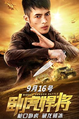 卧虎悍将.Hidden.Dragon.Battle.2019.HD1080P.X264.AAC.Mandarin.CHS-ENG.Mp4Ba.torrent