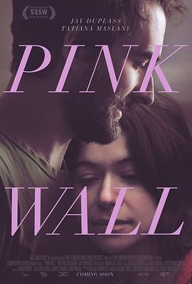迷粉爱墙.Pink.Wall.2019.HD1080P.X264.AAC.English.CHS-ENG.Mp4Ba.torrent