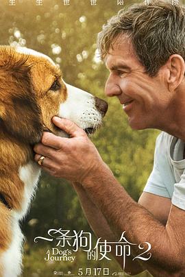 一条狗的使命2.A.Dogs.Journey.2019.HD1080P.X264.AAC.English.CHS-ENG.Mp4Ba.torrent