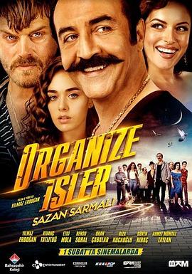 有组织的工作.Organize.Isler.Sazan.Sarmali.2019.HD1080P.X264.AAC.Turkish.CHS.Mp4Ba.torrent