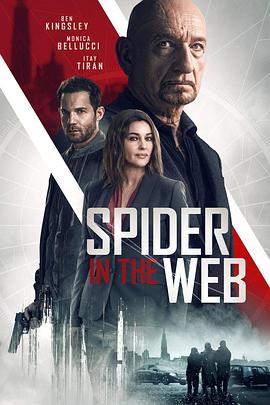 网中蜘蛛.2019.BD1080P.AAC.H264.CHS.BTSJ6.torrent