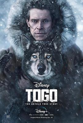 多哥.Togo.2019.HD1080P.X264.AAC.English.CHS-ENG.Mp4Ba.torrent