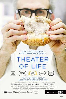 人生剧场.Theater.of.Life.2016.HD1080P.英语中字.BTDX8.torrent