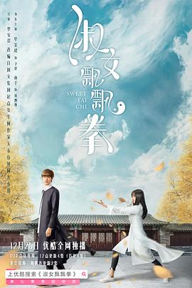 淑女飘飘拳.1-24全集打包.4K.HD国语中字无水印.torrent