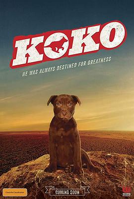 科科：红犬历险记.Koko.A.Red.Dog.Story.2019.HD1080P.X264.AAC.English.CHS-ENG.Mp4Ba.torrent