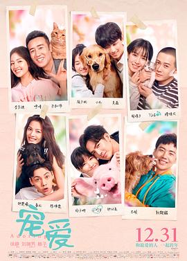 宠爱.Adoring.2019.HD1080P.国语中字.torrent