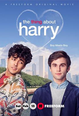 关于哈利的那些事.The.Thing.About.Harry.2020.HD720P.英语中英双字.BTDX8.torrent