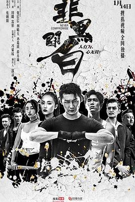 非黑即白.全集打包.1080p.HD国语中字无水印.Never.Compromise.EP01-12.2020.1080p.WEB-DL.x264.AAC-HQC.torrent