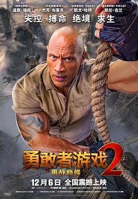 勇敢者游戏2：再战巅峰.特效中英字幕.Jumanji.The.Next.Level.2019.BD1080P.X264.AAC.English&Mandarin.CHS-ENG.Mp4Ba.torrent