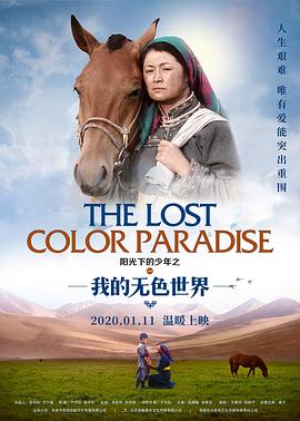 阳光下的少年之我的无色世界.H265版.2020.HD1080P.X265.AAC.Mandarin.CHS-ENG.Mp4Ba.torrent