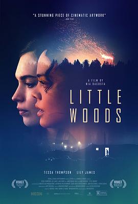 小森林.Little.Woods.2018.HD720P.X264.AAC.English.CHS-ENG.Mp4Ba.torrent