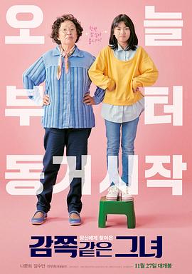 天衣无缝的她.A.Little.Princess.2019.HD1080P.X264.AAC.Korean.CHS.Mp4Ba.torrent