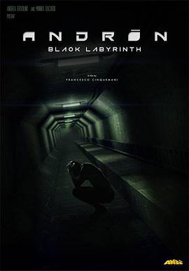 安德烈：黑色的迷宫.Andron.The.Black.Labyrinth.2015.HD720P.X264.AAC.English.CHS-ENG.Mp4Ba.torrent