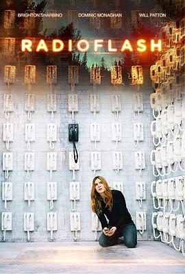 电磁脉冲.Radioflash.2019.BD1080P.英语中英双字.BTDX8.torrent