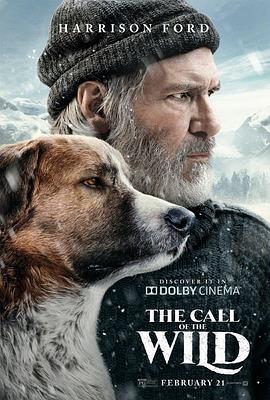 野性的呼唤.The.Call.of.the.Wild.2020.HD1080P.英语中字.BTDX8.torrent