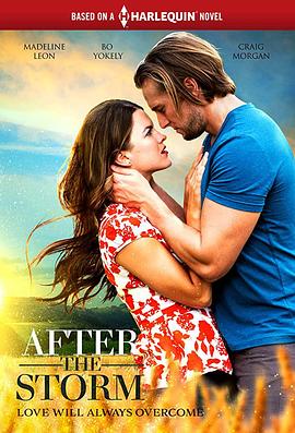 雨过天晴.After.The.Storm.2019.HD1080P.X264.AAC.English.CHS-ENG.Mp4Ba.torrent