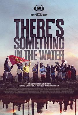 毒水：环境种族主义.Theres.Something.in.the.Water.2020.HD1080P.英语中字.BTDX8.torrent