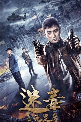 迷毒之无足鸟.2020动作剧情.4K.HD国语中字无水印.torrent