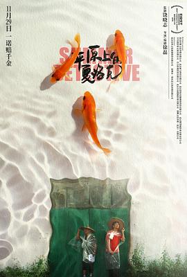 平原上的夏洛克.2019.BD1080P.AAC.H264.CHS.BTSJ6.torrent